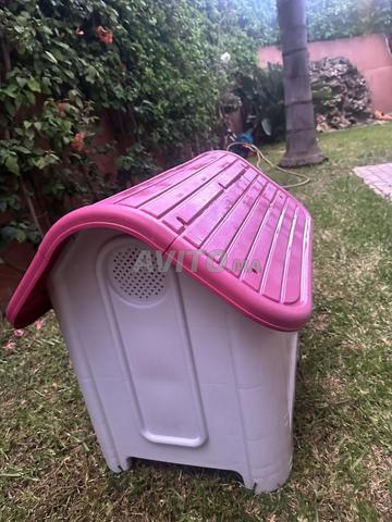 بيت للكلاب للبيع - 2