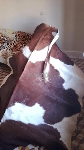 الدار البيضاء - 2