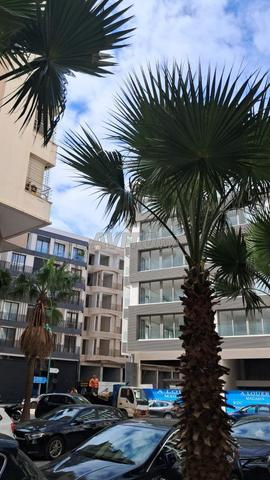 Appartement à louer 50 m² à Casablanca