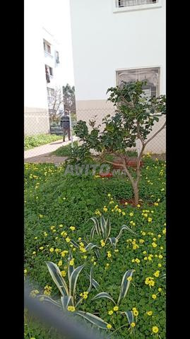 دراجة للبيع - 2