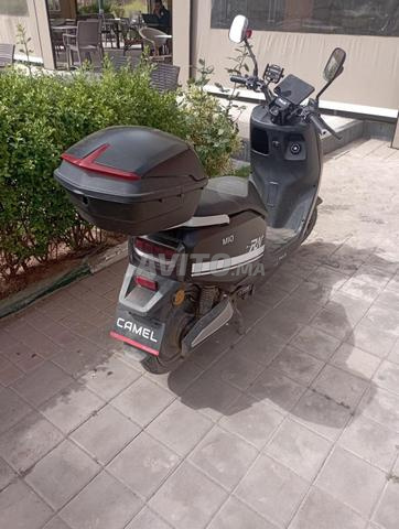 Douha les portes de Marrakech - 2