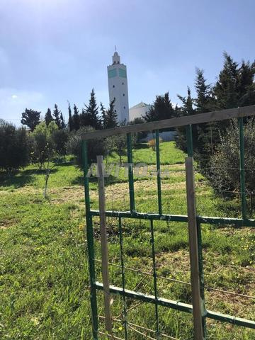 أرض للبيع في مالالين تطوان - 2