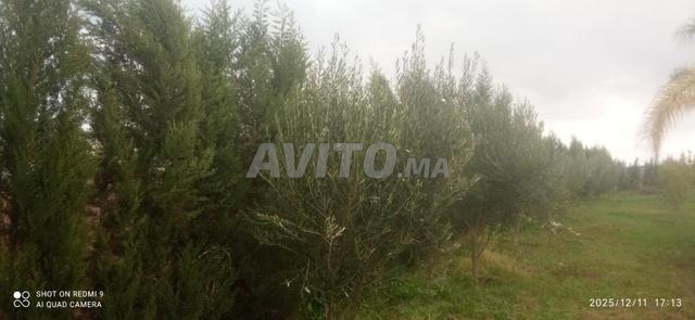 Ferme 6 hectares titrée - 2