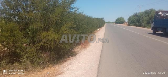 مزرعة 6 هكتار مسجلة