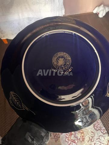 طاووس حر متوفر 7 - 2