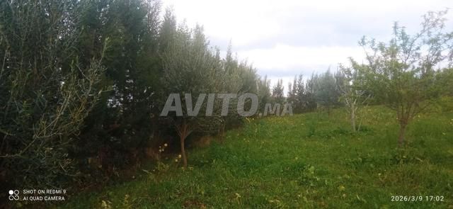 Excellente entreprise - 2