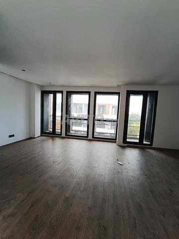 Bureau à palmier à louer