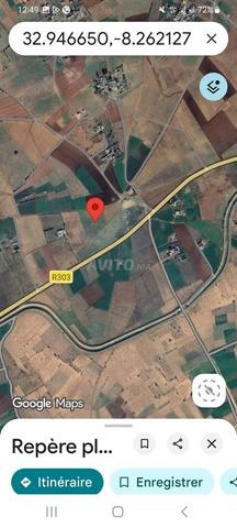 Terrain 10000 m2 titré - 2