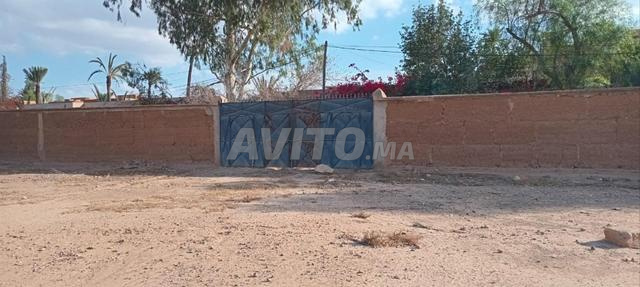 Terrain Titré à vendre - Zone Urbaine - La Palmeraie