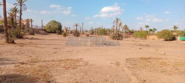 أرض مسجلة للبيع - منطقة حضرية - النخيل - 2