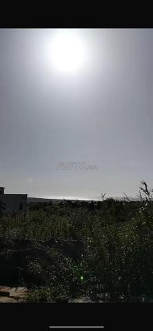 منزل بلدي بحديقة للبيع