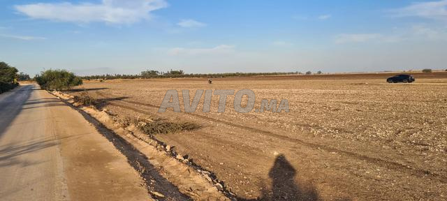 🔥 Terrain de 4 hectares à proximité de Casablanca
