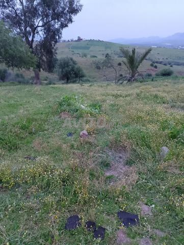 إقليم تطوان، السوق القديم