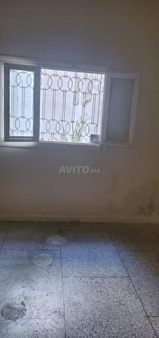 Appartement disponible à louer ou à acheter - image 4