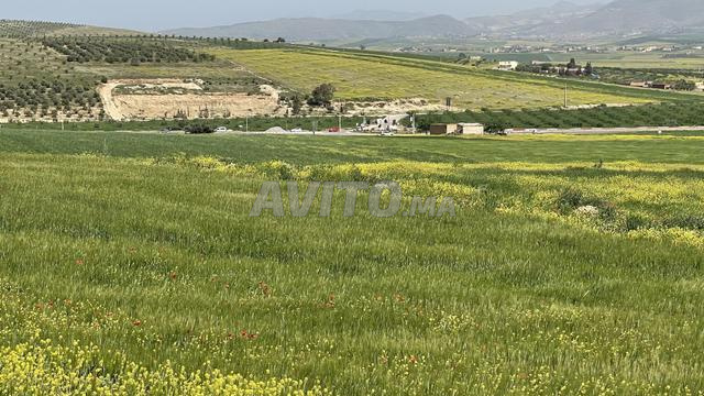 أرض محفظة للبيع أو التبادل - 2