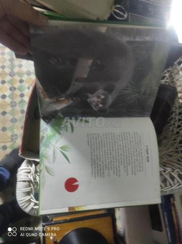 موسوعة أطفال 14 مجلد