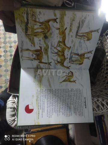 موسوعة أطفال 14 مجلد - 2