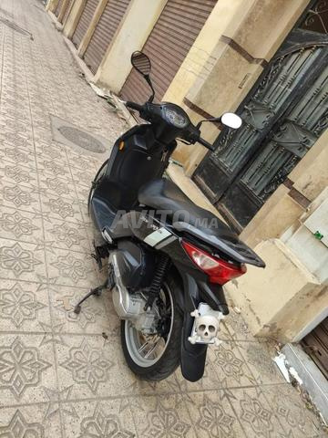 Élégance Casablanca - 2