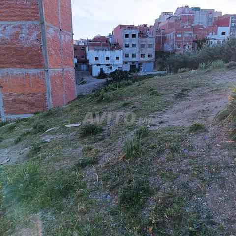 Terrain à vendre à Tanger - Avama - 2