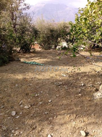 Terrain avec maison semi-finie - 2