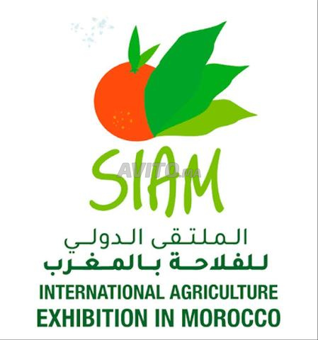 منزل / شقة للإيجار