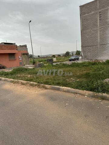 ساس شبه تجاري بواجهتين قلعة السراغنة الريحان - 2