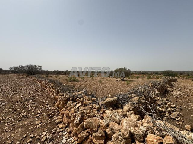 أرض بمساحة 8000 متر مربع على بعد 16 كم من الصويرة