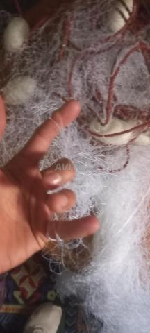 شباك الصيد جراف - 2