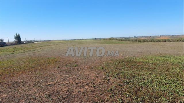 أراضٍ محفظة بنواحي شتوكة، للفلاحة والاستثمار. - 2