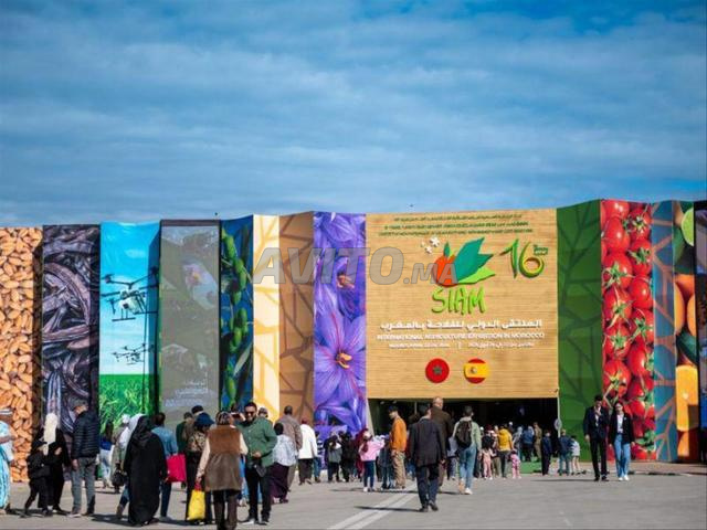 شقة للكراء اليومي