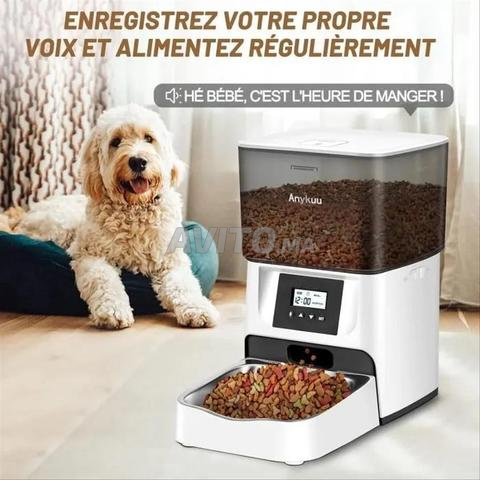 Distributeur de croquettes pour chat - 2
