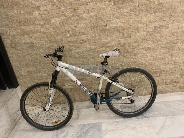 Scooter pour se promener - 2