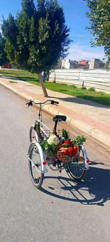 Vélos à trois roues