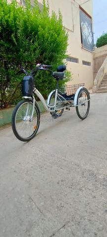 Vélo électrique à trois roues - 2