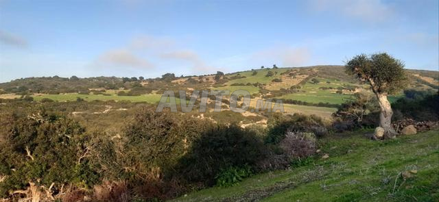 Terrain à vendre - 2