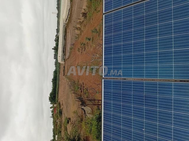 مزرعة صغيرة 4000 متر سيدي عياش القنيطرة - 2