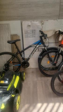 دراجات هوائية متعددة - 2