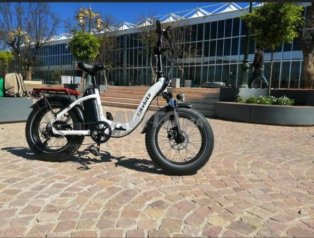 تروتينيت - 2