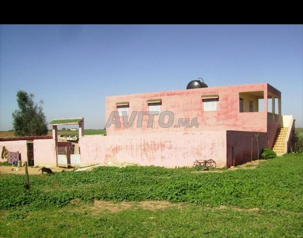 مزرعة مجهزة ومحفظة