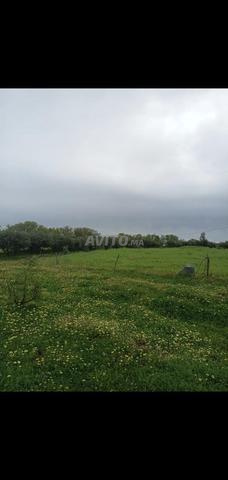 مزرعة مجهزة ومحفظة - 2