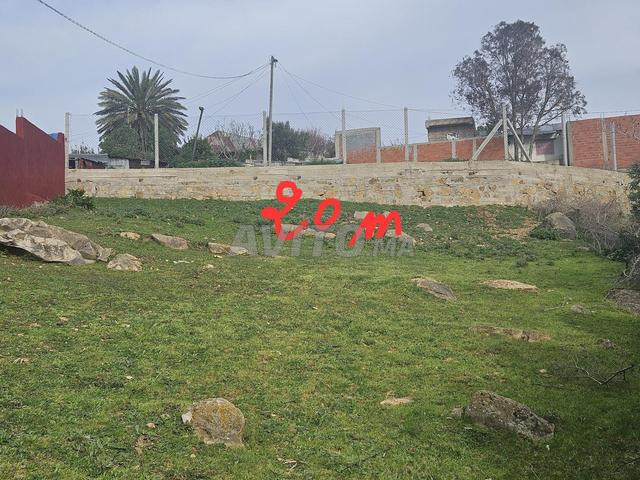 Terrain 500m pour maison de campagne - 2