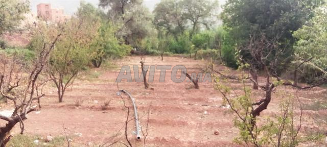 Terrain à vendre - 2