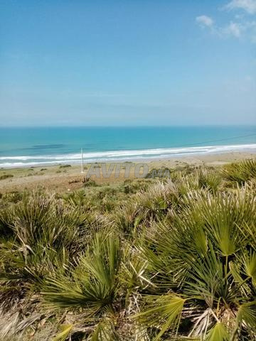 أرض سياحية على شاطئ المحيط