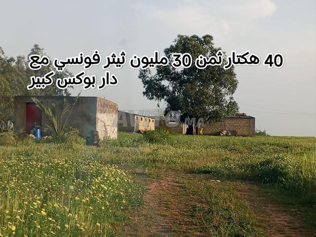 مزرعة بأرض فلاحية ثيثر فونسي 40 هكتار - 2