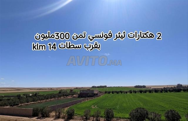 Terrain agricole Tétar Fonsi 2 hectares 300 millions