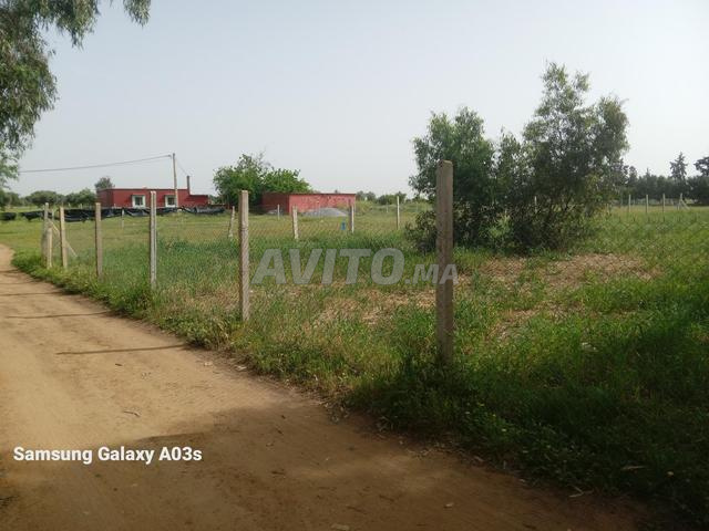 أرض محفظة - 2