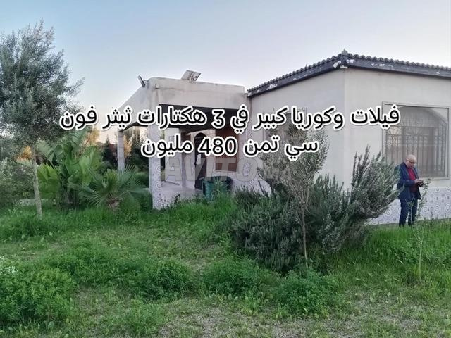 2 Villas et étables pour vaches sur 3 hectares à Thier Fonsi 480 millions - 2