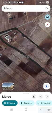Ferme et étable de 11 hectares, Tétouan Foncière, 400 millions - 2
