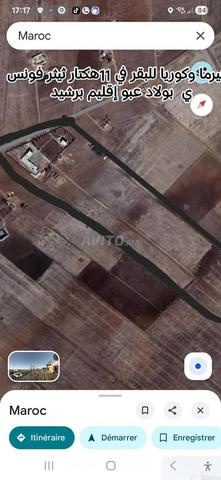 Ferme et étable de 11 hectares, Tétouan Foncière, 400 millions