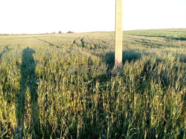 أرض للبيع في إقليم بن سليمان - 2